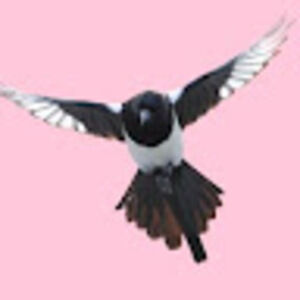 Meet your Posher, Pink